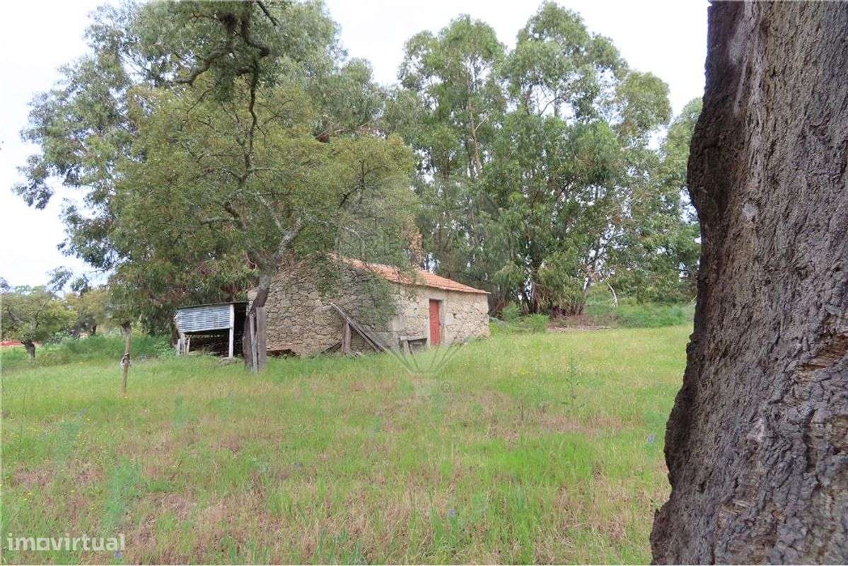 Quinta T0 para venda - Grande imagem: 5/52