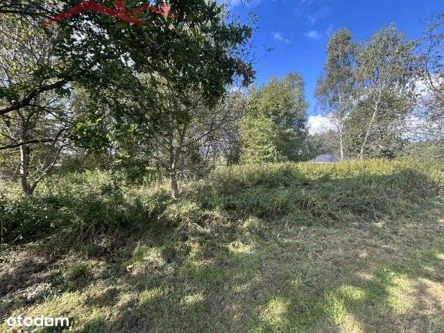 Działka w Potoku - Pełny obrazek: 5/7