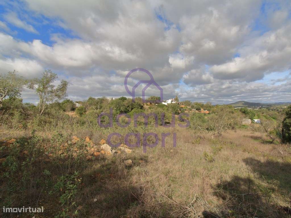 Terreno Rustico em Laranjeiro - Moncarapacho - Olhão - Grande imagem: 5/9