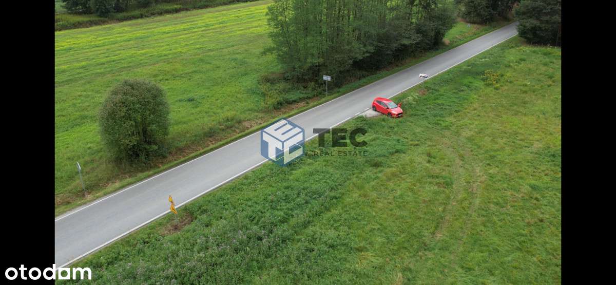 zamiana | cena | las | inwestycja - Pełny obrazek: 4/17