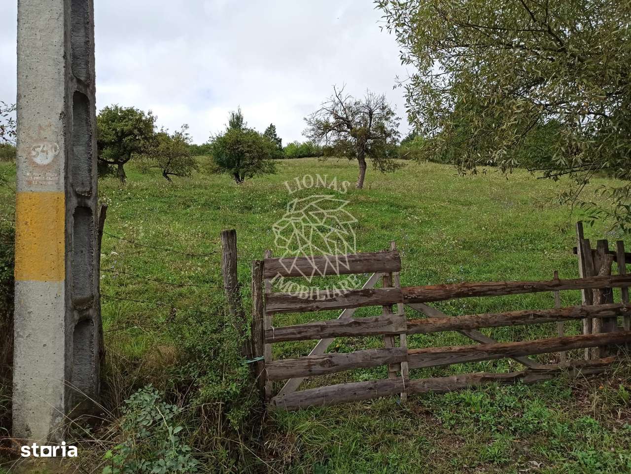 Teren intravilan 12600 mp-utilitati-ideal case, investitie-Livezile - Imagine principală: 5/6