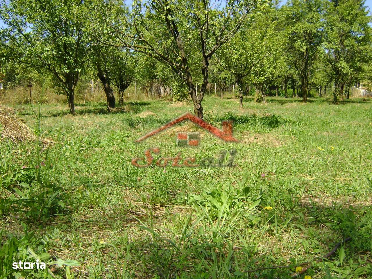 Teren  de vanzare Cornu 1919 mp-1