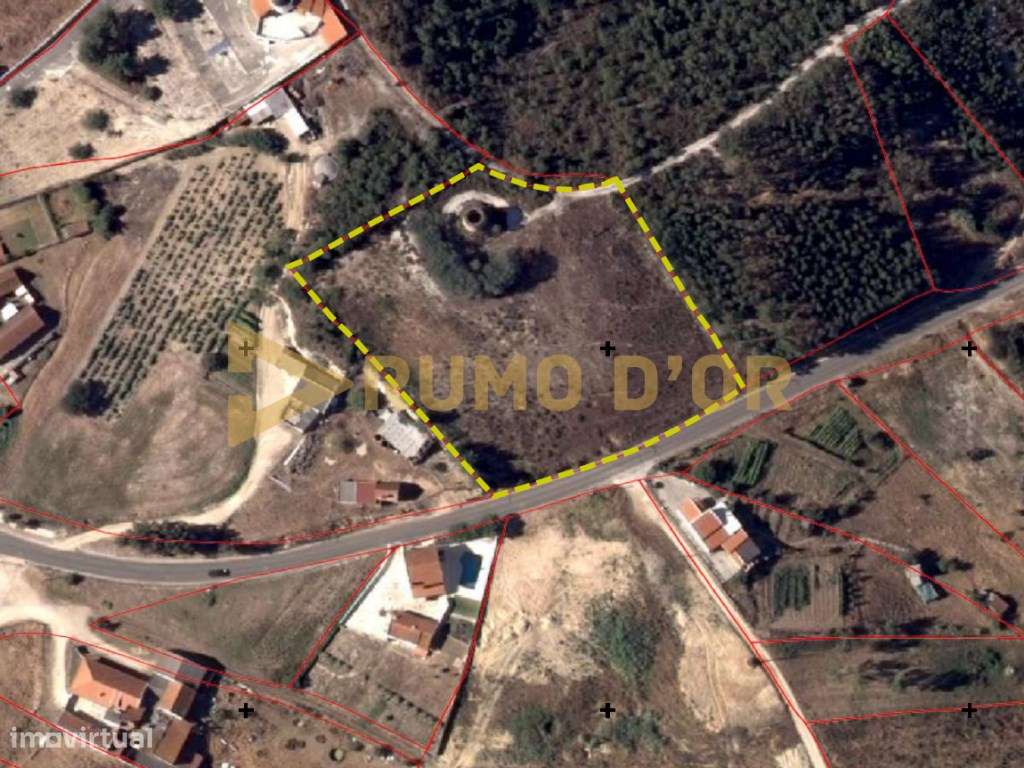 Moinho em Surraipas, Pocariça-16