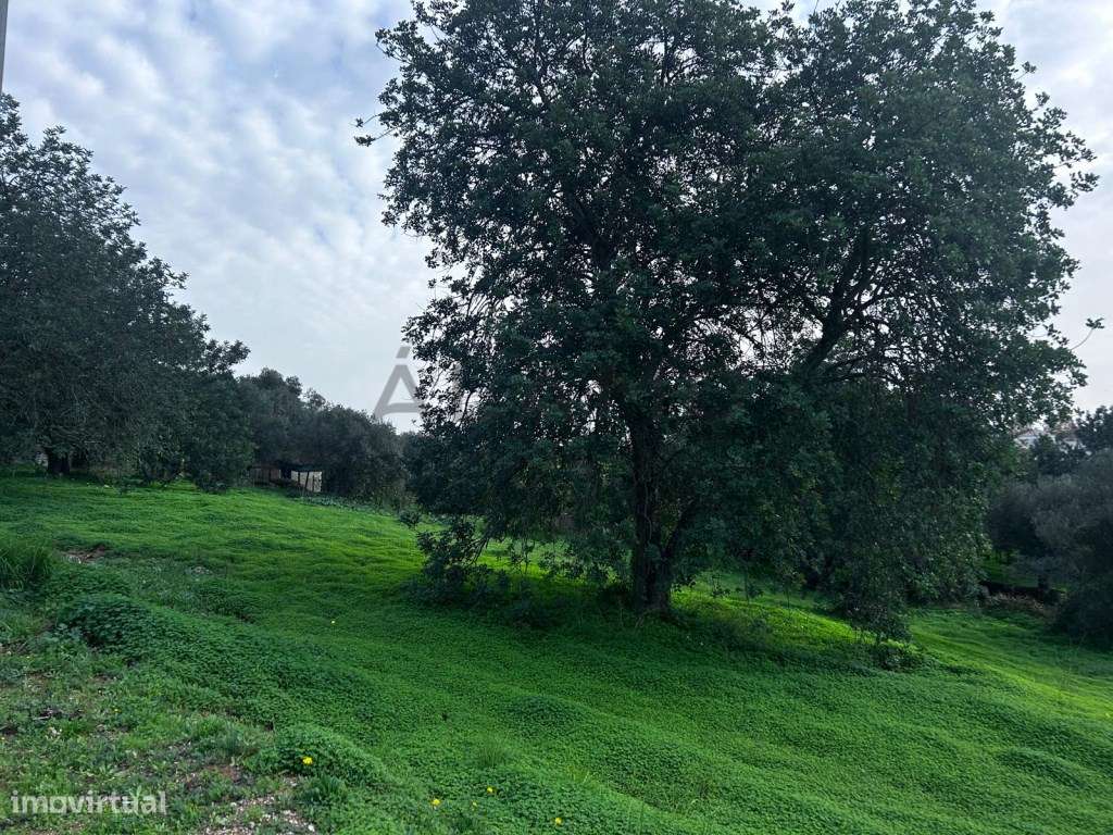 Terreno em Salir com viabilidade de construção-6