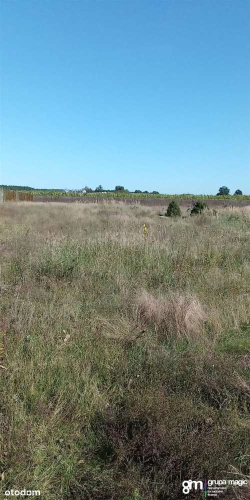 Działka, 2 965 m², Złotoria - Pełny obrazek: 5/6