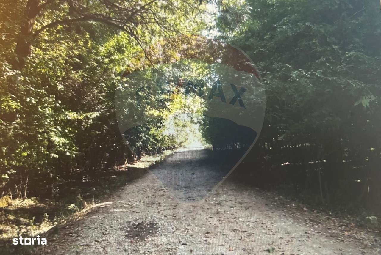 Teren cu deschidere la lac 1,430mp - Imagine principală: 2/3