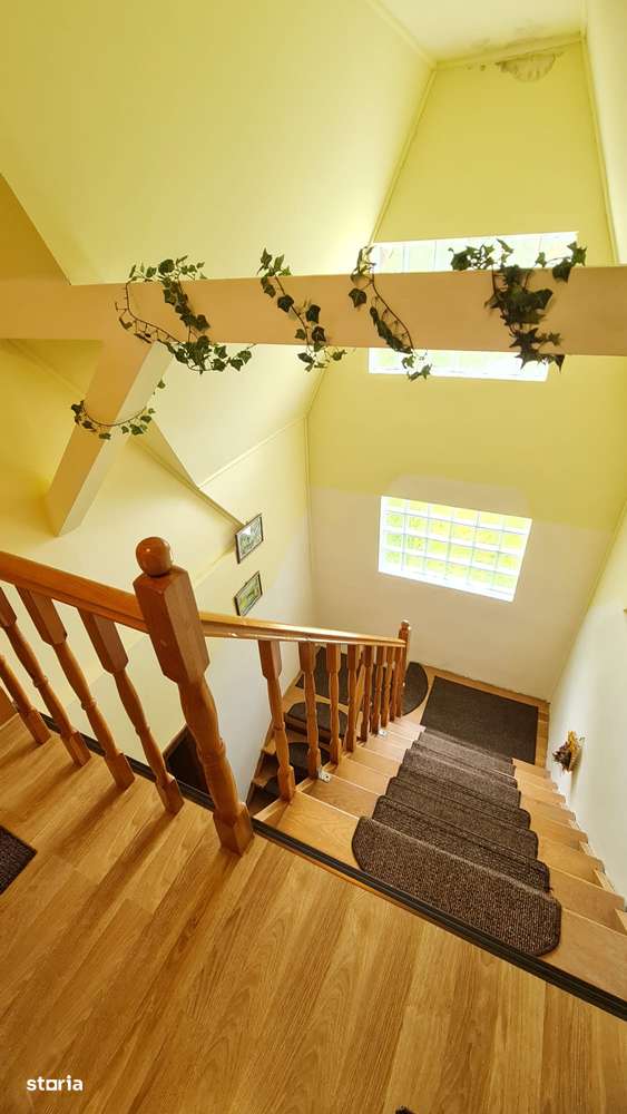 Vand vila situata pe Valea Lotrioarei-15