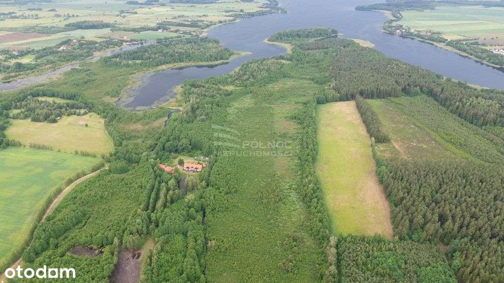 Działka w otulinie lasu niedaleko jeziora Makosiej - Pełny obrazek: 4/8