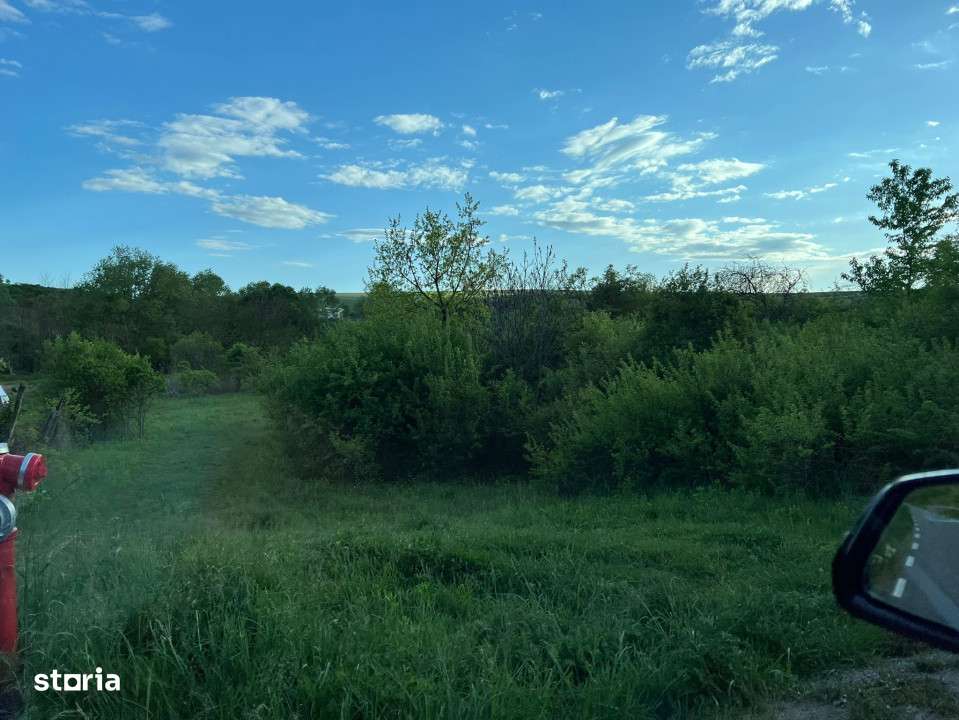 Teren constructii intravilan de 4700 mp, Baciu - Comision 0% - Imagine principală: 4/5