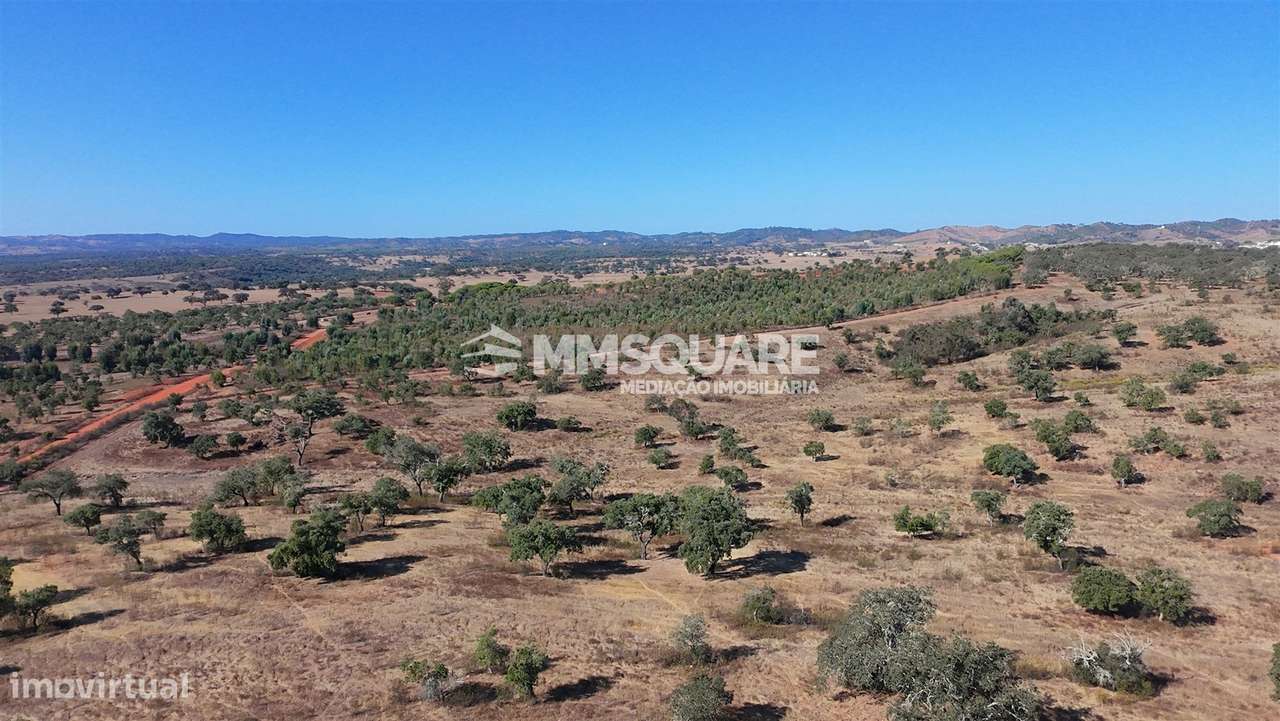 Herdade  Venda em Garvão e Santa Luzia,Ourique-20