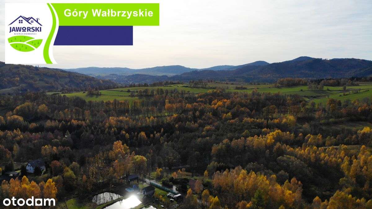 Działki budowlane - Olszyniec - Podlesie - Pełny obrazek: 4/6
