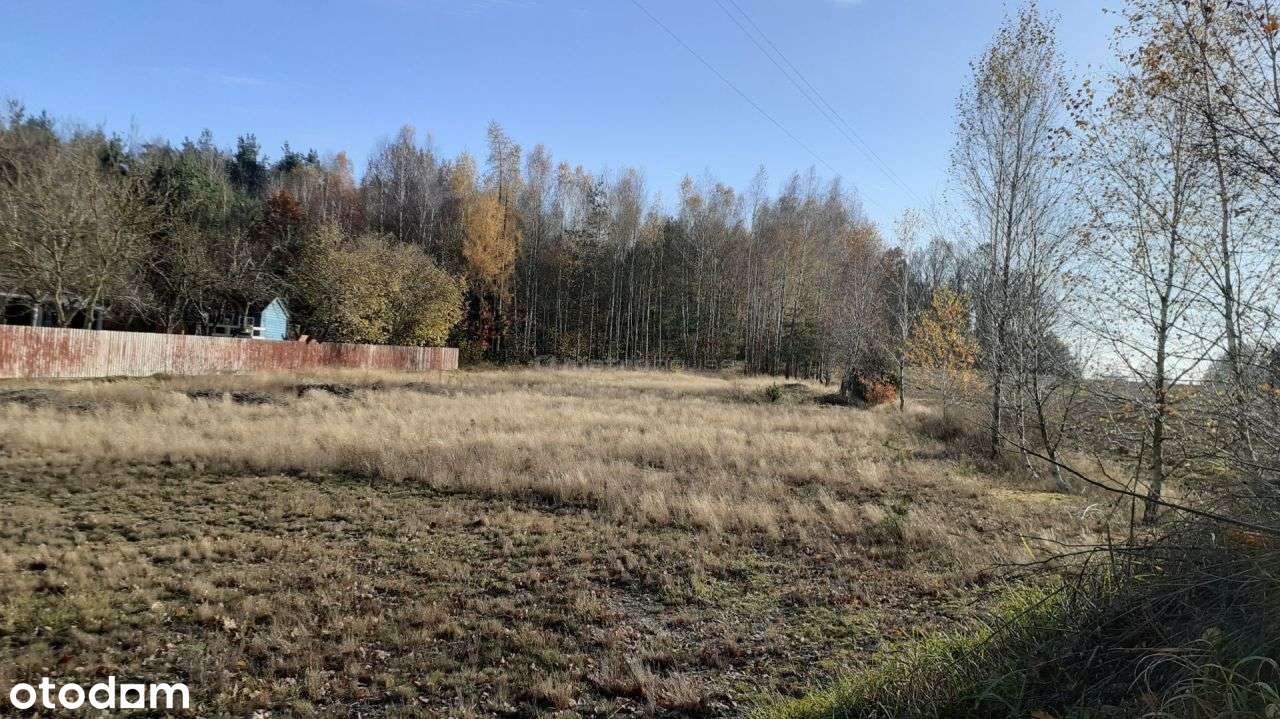 Działka, 4 800 m², Wola Wodyńska - Pełny obrazek: 4/9