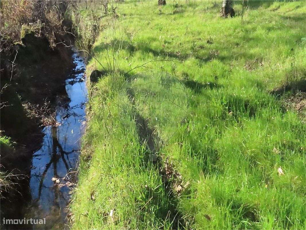 Quinta  para venda - Grande imagem: 5/36