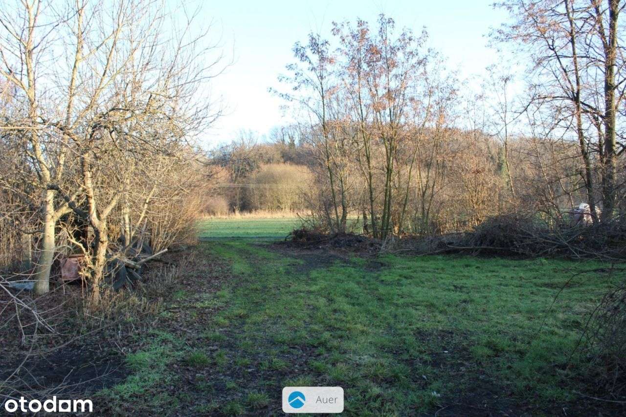 Pawłowiczki – dom z lat 80-tych, działka 29 arów - Pełny obrazek: 5/20