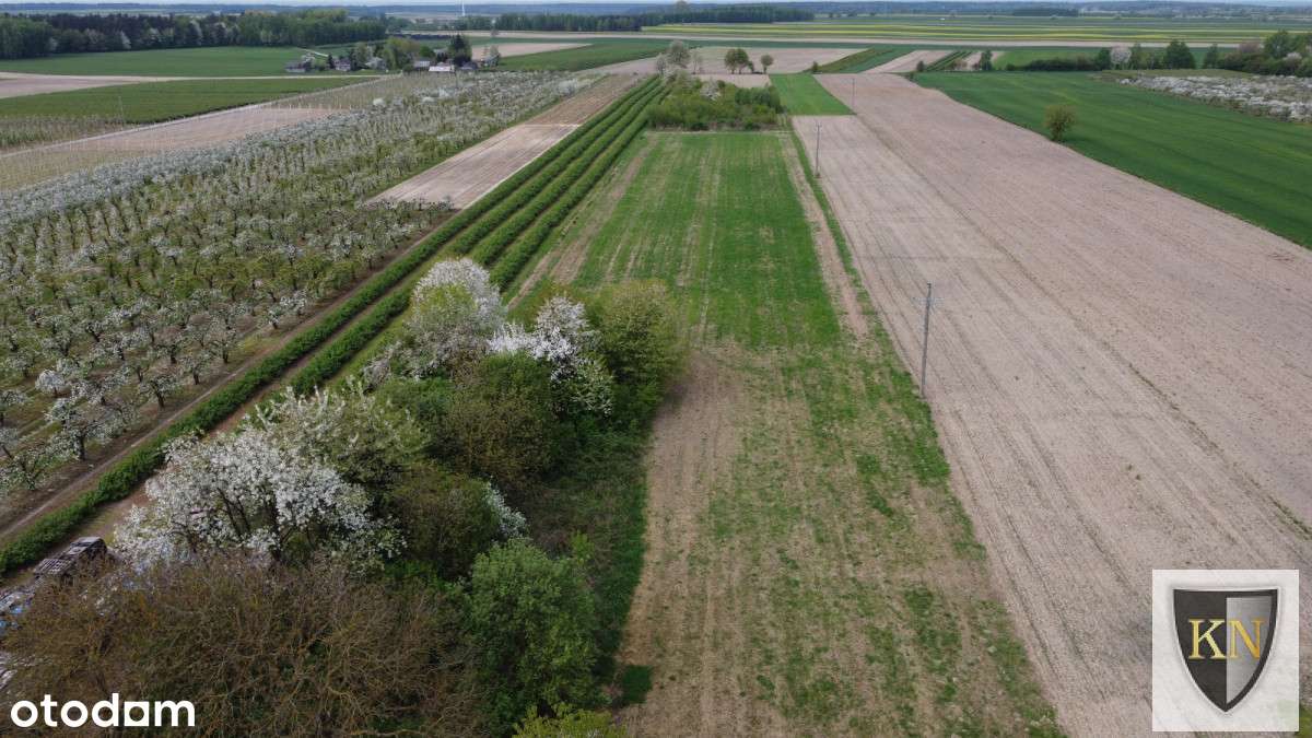 Siedlisko z zabudowaniami-10