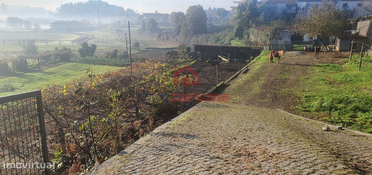 Terreno para construção com 4.340m2 em Sanfins Ferreira, Paços de Ferr-6