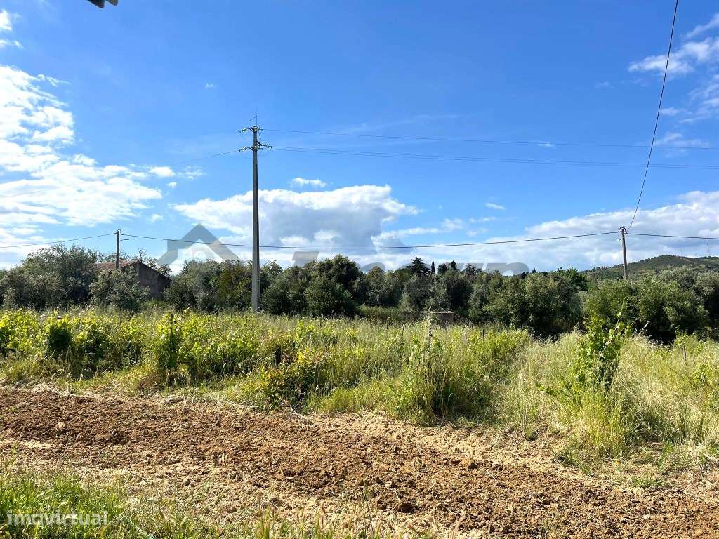 Quinta localizada a 1,5Km da Vidigueira-26