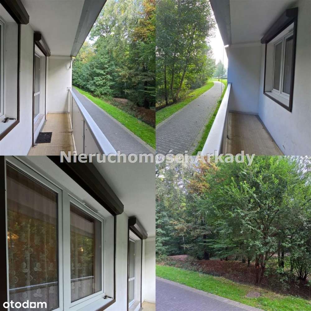 Beskidzka / parter-14