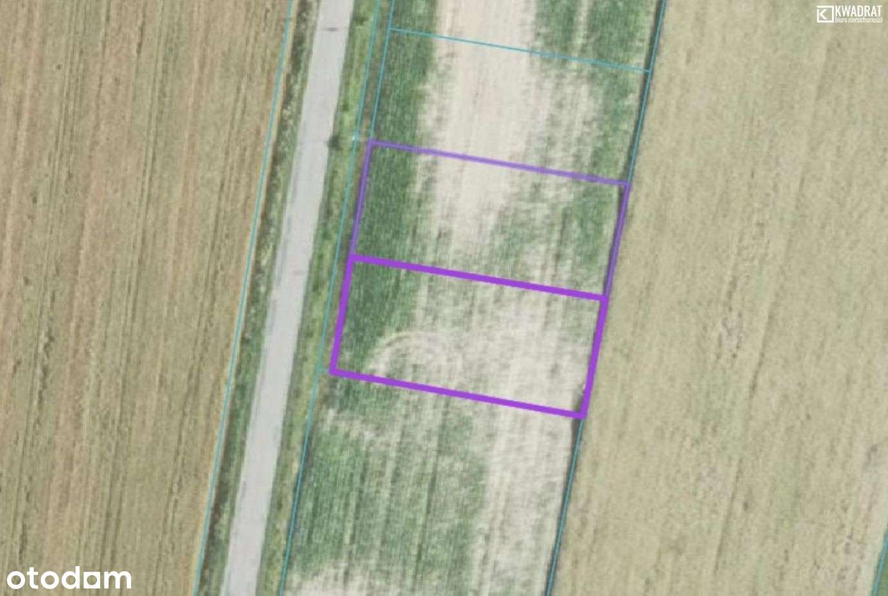 Jabłonna - Wierciszów - działka budowlana - 9 a - Pełny obrazek: 1/8