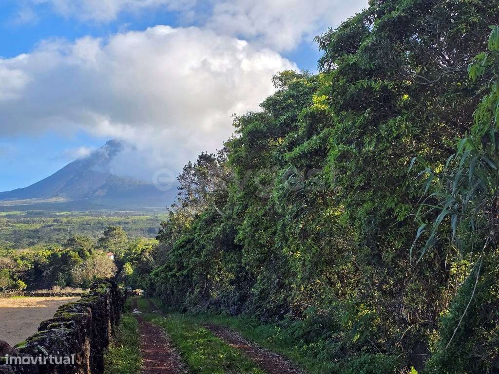 Terreno com vista para a Montanha do Pico na Freguesia das Bandeira... - Grande imagem: 3/14