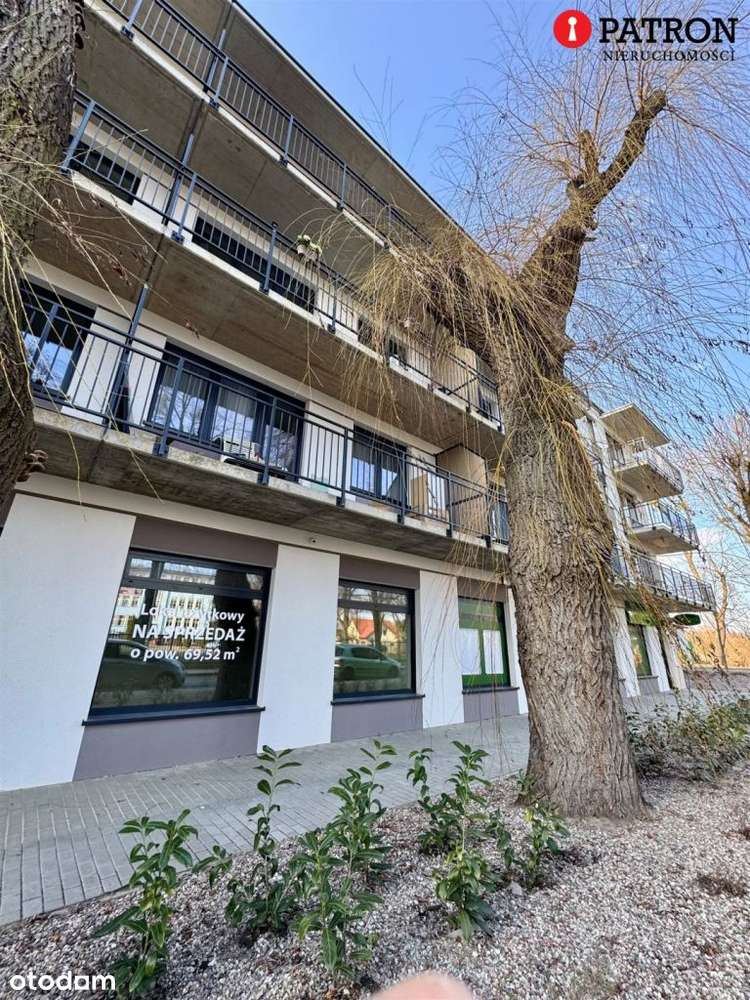 Ostatni lokal użytkowy na Wilsona 19 - Pełny obrazek: 4/14