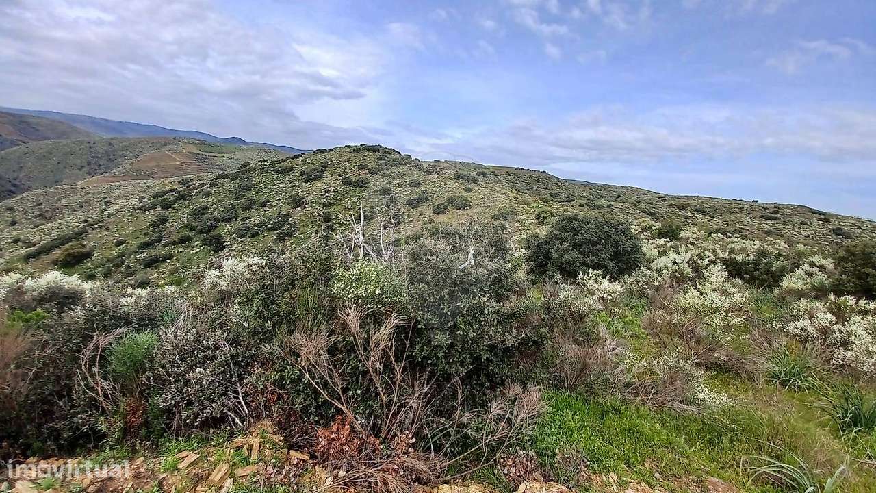 Terreno  para venda - Grande imagem: 4/4