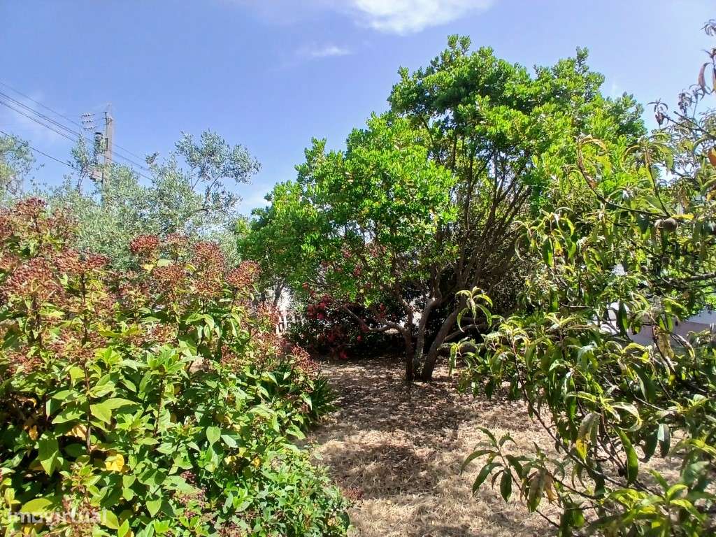 Moradia com terreno, Granho, Salvaterra de Magos-42
