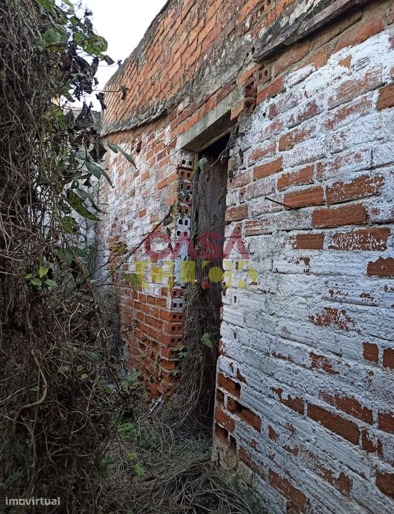Moradia Devoluta T3 Venda em Torres Novas (São Pedro), Lapas e Ribeira-12