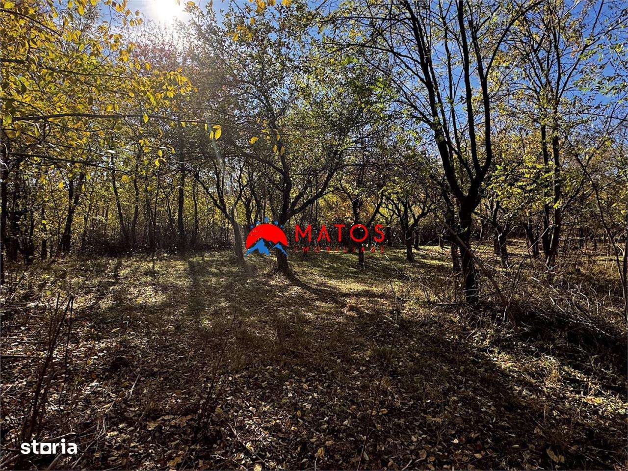 Teren intravilan 6.842 mp de vanzare in Poiana Campina, vedere placuta-0