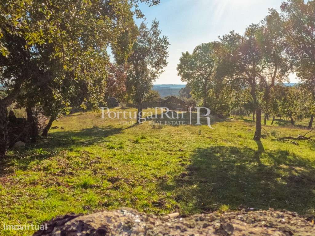 Quintinha com 1,2ha e ruína urbana em São Miguel Acha-15