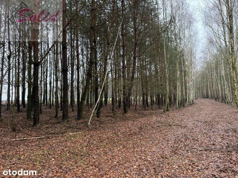 Atrakcyjna działka z warunkami zabudowy w spokojnej okolicy - Pełny obrazek: 2/11