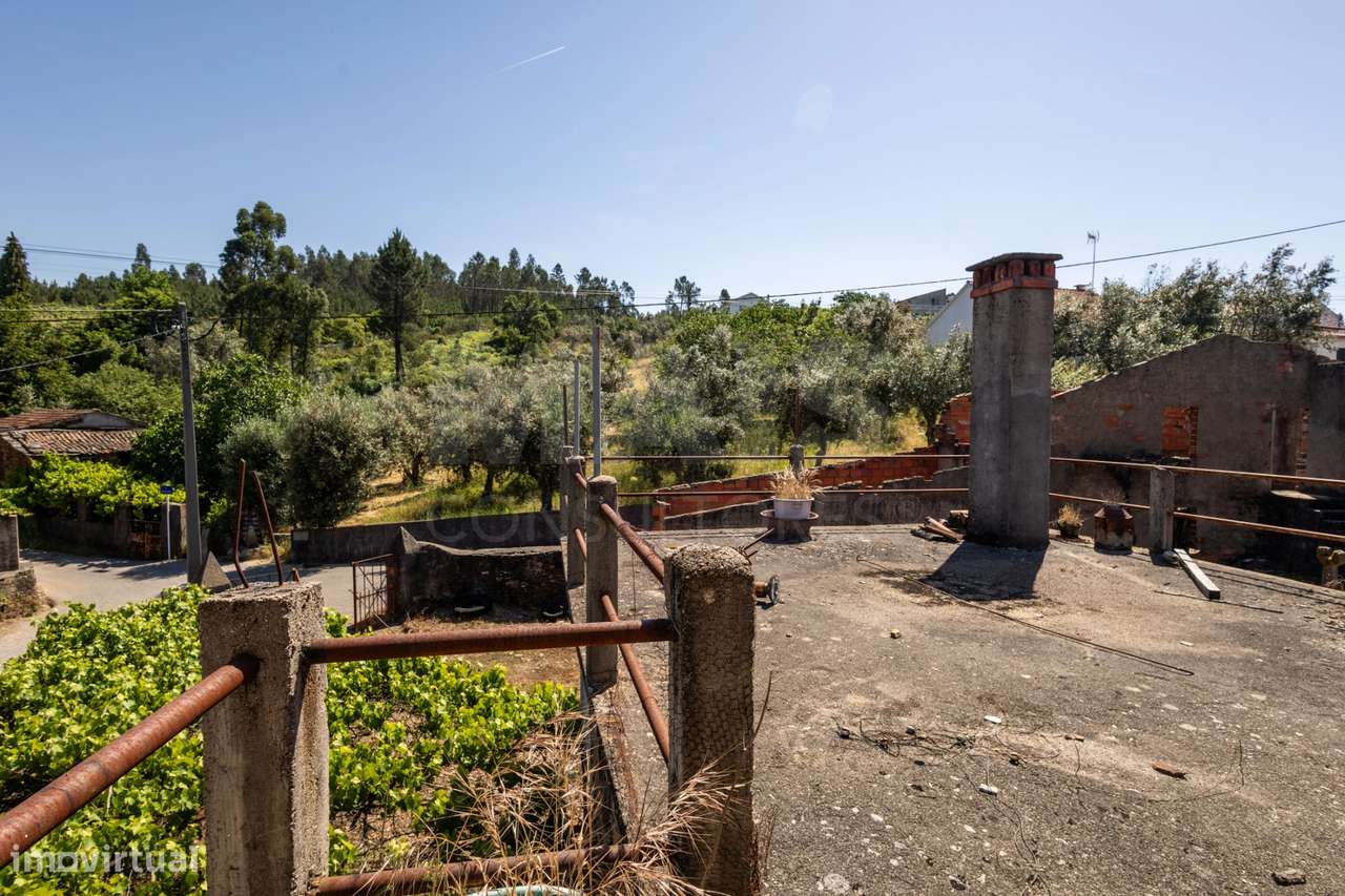 PROPRIEDADE DE CARÁTER NA N2 | 400 m² DE CONSTRUÇÃO, OLIVAL E POTEN...-37