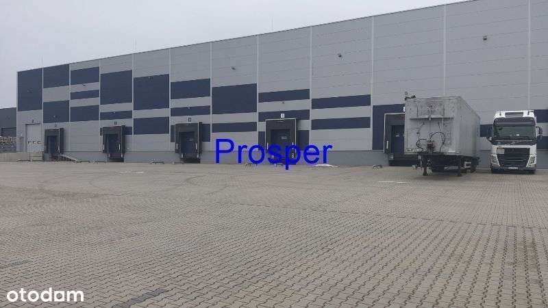 Hala mag. h=10m posadzka niepylna - Pełny obrazek: 3/4