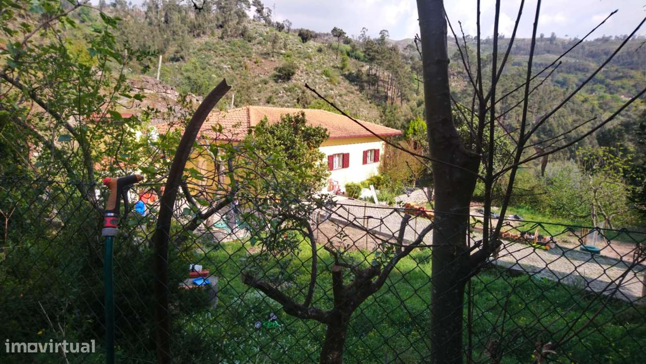 Moradia térrea com bastante terreno - Grande imagem: 5/15