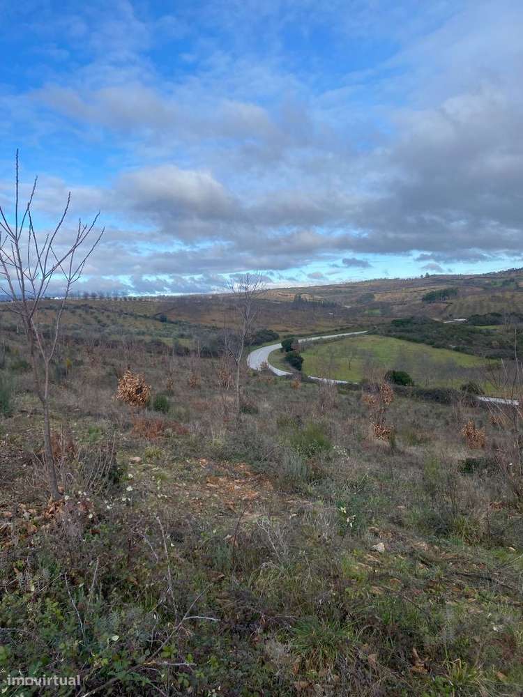 Terreno para venda - Bragança - Grande imagem: 4/9