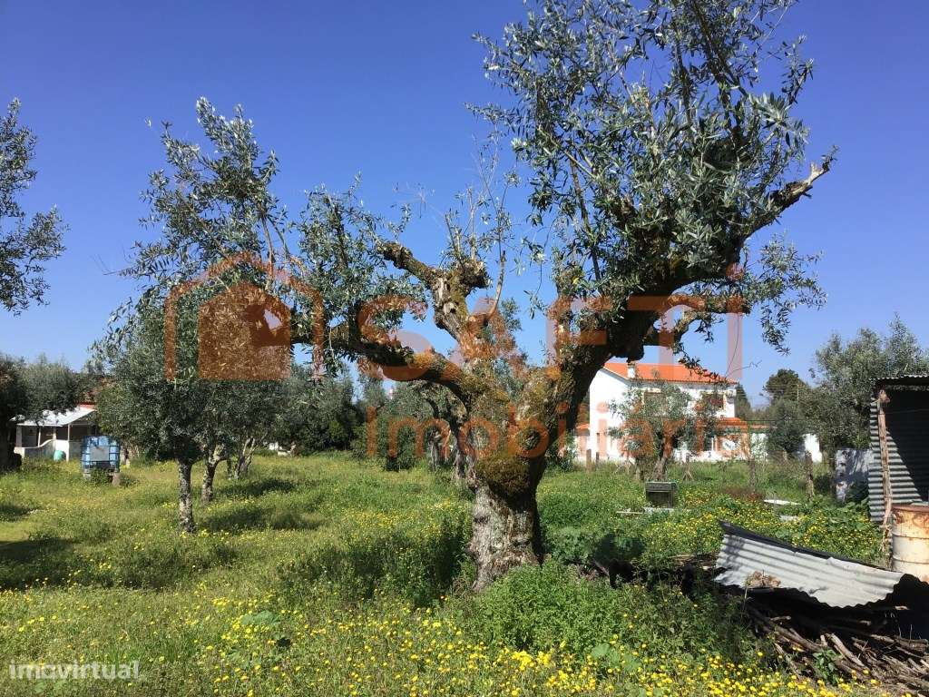 MORADIA T3 ISOLADA COM TERRENO-17