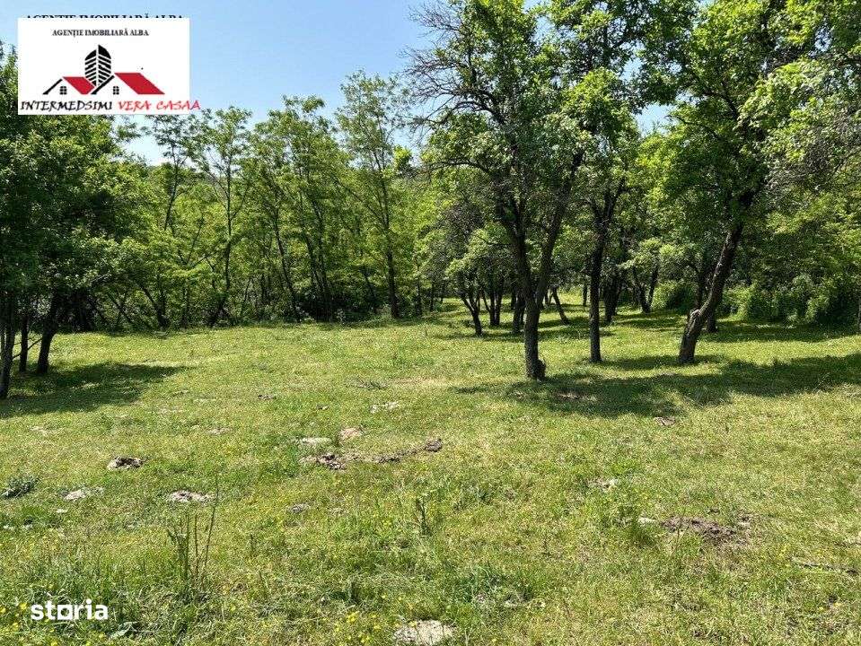 Teren extravilan 28152 mp de vanzare la 7 km de Alba Iulia - Imagine principală: 4/6