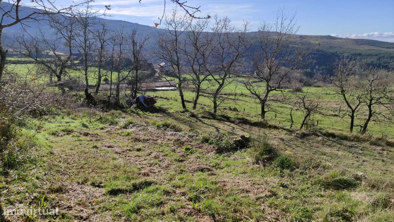 Terreno Rústico  Venda em Gouveia (São Simão),Amarante-7