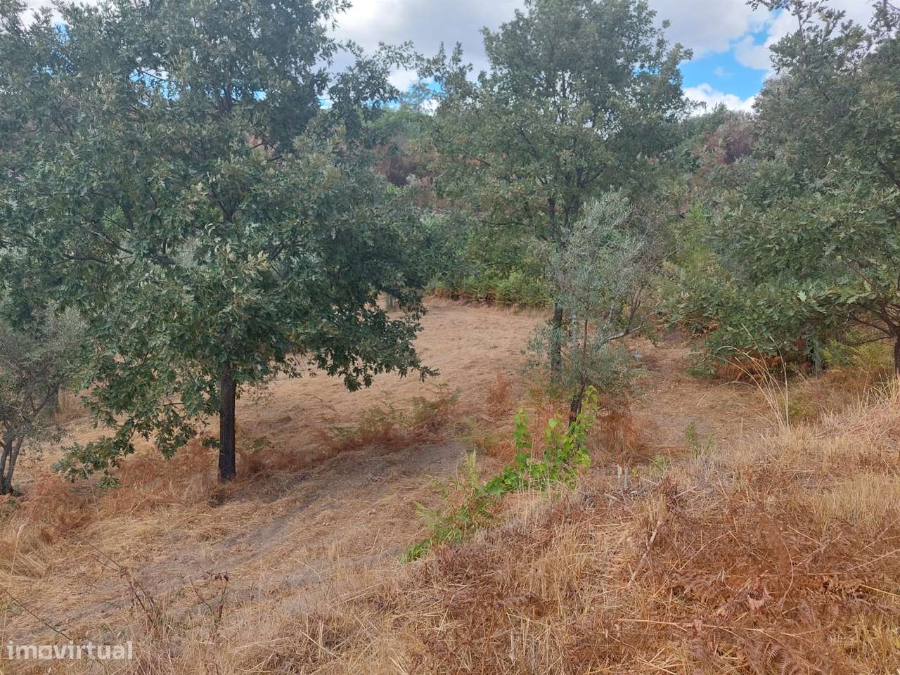 Quintinha  Venda em Figueiró da Serra e Freixo da Serra,Gouveia - Grande imagem: 5/5