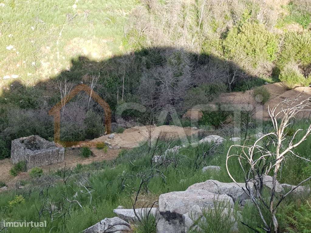 Quinta com Moinhos do Folgosinho - Serra da Estrela - Grande imagem: 4/29