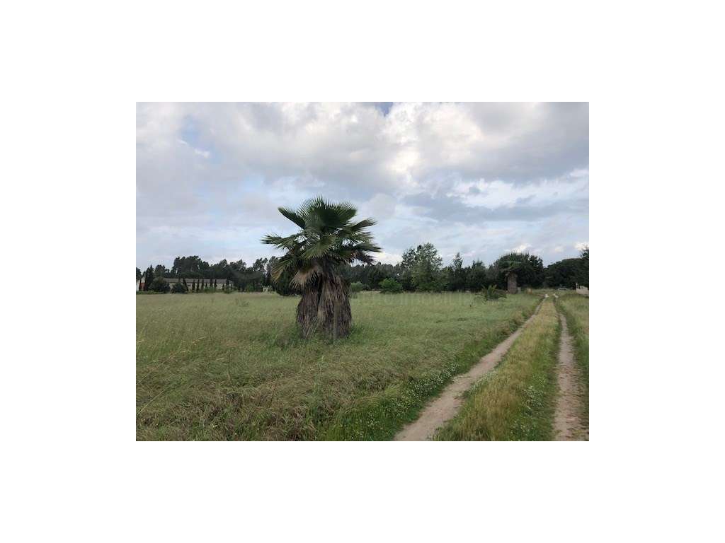 Terreno Benavente - Grande imagem: 1/16