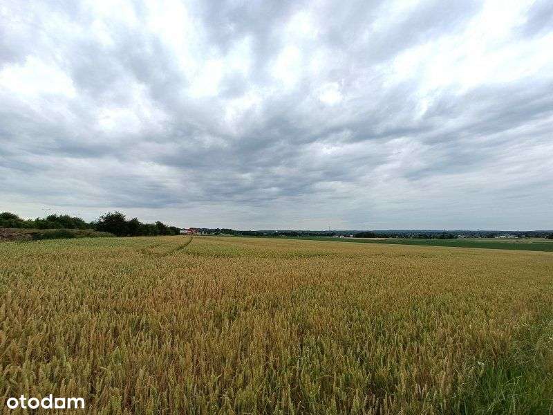 Gliwice, Sośnica A1, A4, 3,6 ha - Pełny obrazek: 5/5