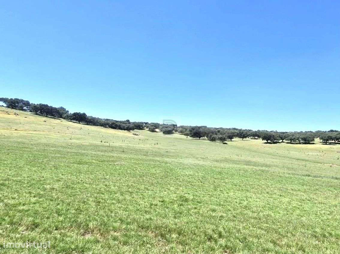 Herdade do Castelo Novo-0