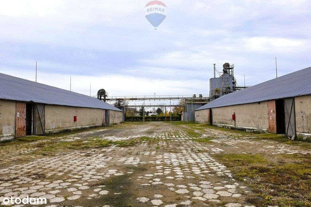 Baza magazynowa, silosy, waga - Barciany - Pełny obrazek: 5/13