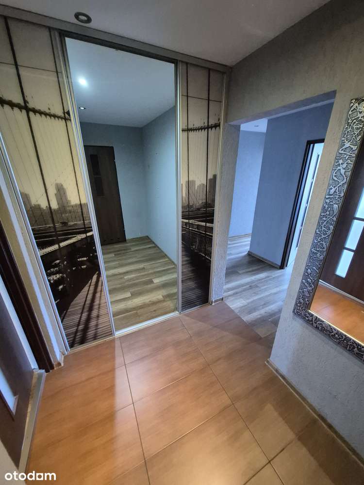 3 pokoje Katowice - super lokalizacja - wolne od zaraz!-1