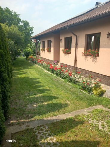 Casa pe un singur nivel,, 250 mp,teren 1260 mp in Sangiorgiu-0