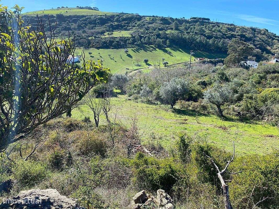 Terreno  para venda-2