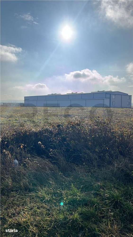 RECO Teren extravilan 11509 mp cu front la E60 -Sacadat - Imagine principală: 4/5