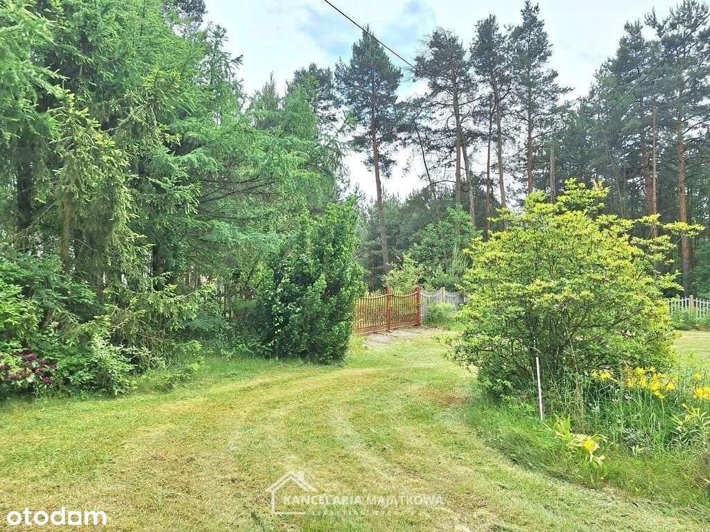 Dom w pięknej okolicy w Borowie gmina Miedźno-4