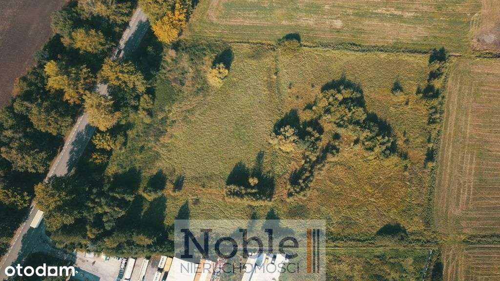 Doskonała lokalizacja - bez Kowr - Pełny obrazek: 5/11